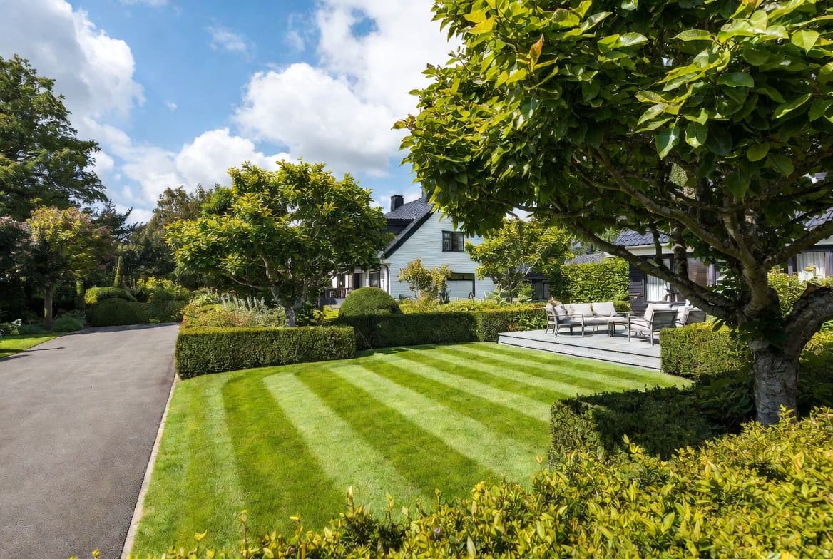 Træfældning og beskæring